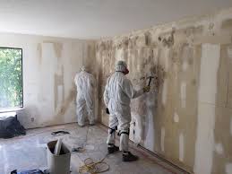 Best Mold Damage Restoration in Oatfield, OR